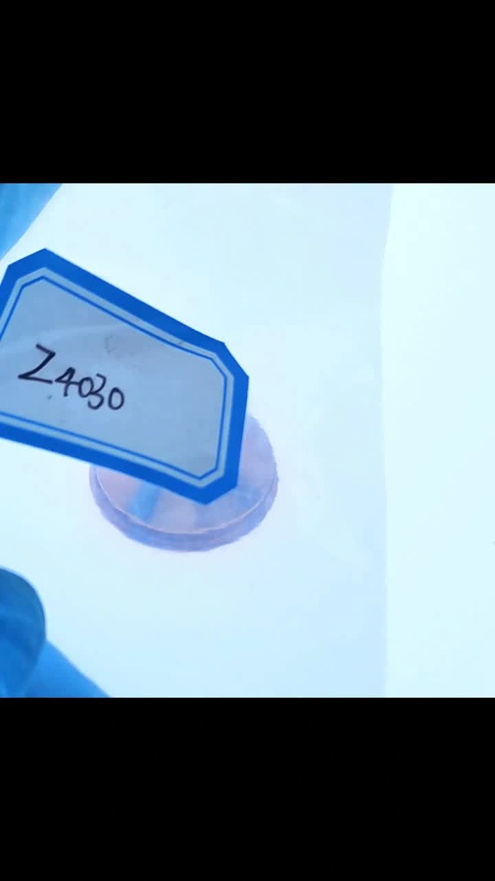 Z4030Kjellberg(1)